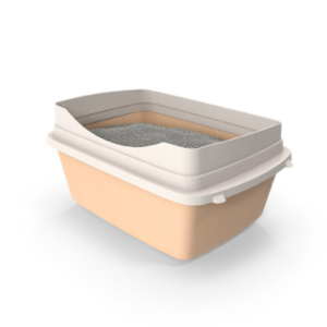 Toko Kelinci Bakpao Rabbit Toilet Hewan