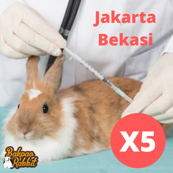 Paket Suntik Scabies Kelinci Jakarta