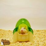 Alex AL134 Hamster Rocket Room Green