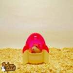 Alex AL137 Hamster Rocket Room Pink