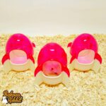 Alex AL137 Hamster Rocket Room Pink