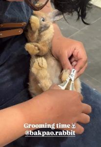 Jasa Grooming Kelinci Jakarta - Layanan Ke Rumah photo review
