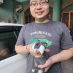 Jasa Grooming Kelinci Jakarta - Layanan Ke Rumah photo review