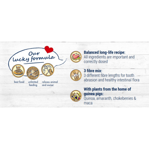 Bunny Nature Guinea Pig Dream Young 1.5kg