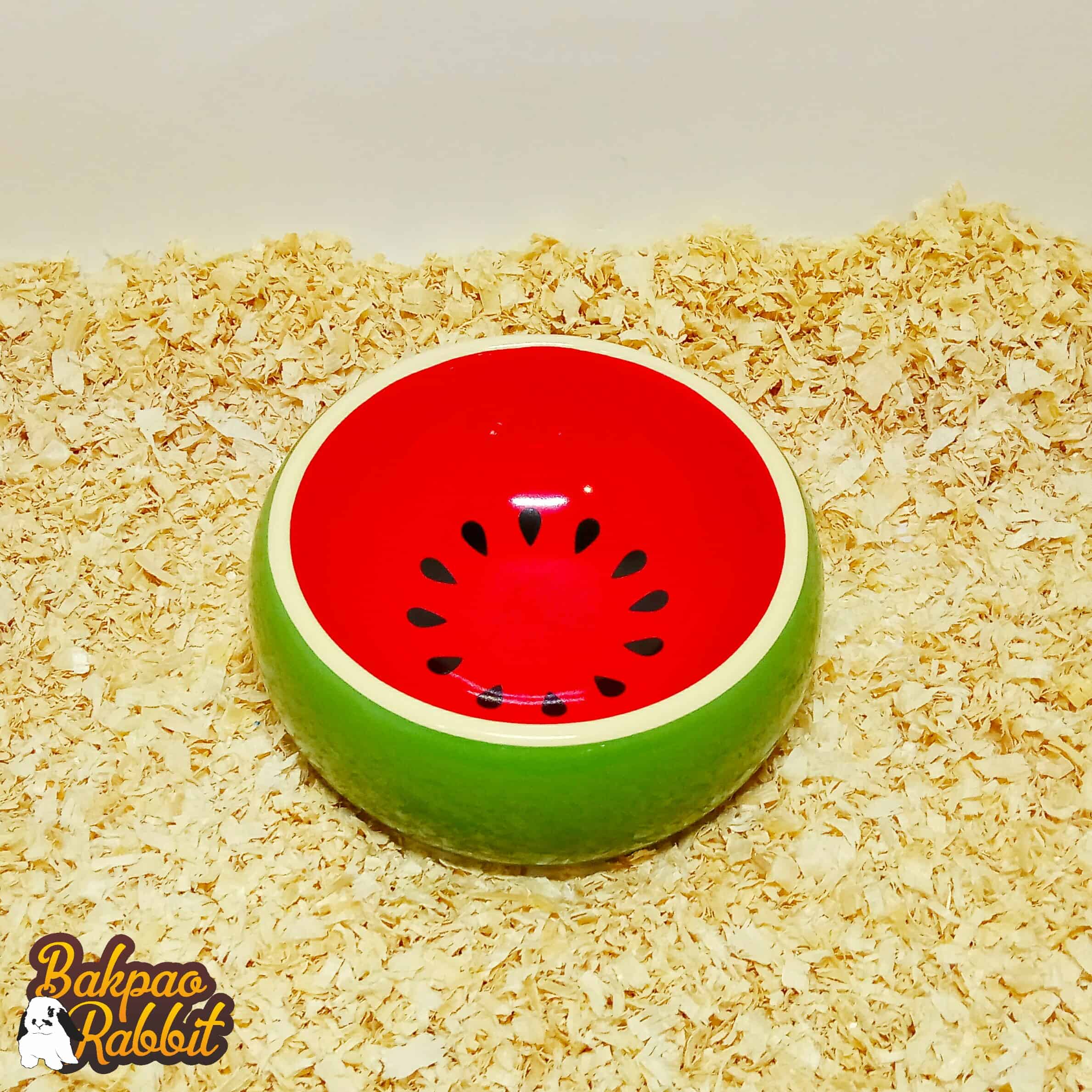 Jolly JP253 Pets Fruit Bowl Watermelon