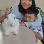Jasa Grooming Kelinci Jakarta - Layanan Ke Rumah photo review