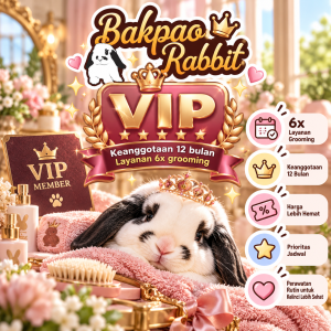 Keanggotaan VIP Plan 4