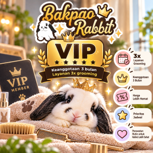Keanggotaan VIP Plan 1