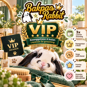 Keanggotaan VIP Plan 3